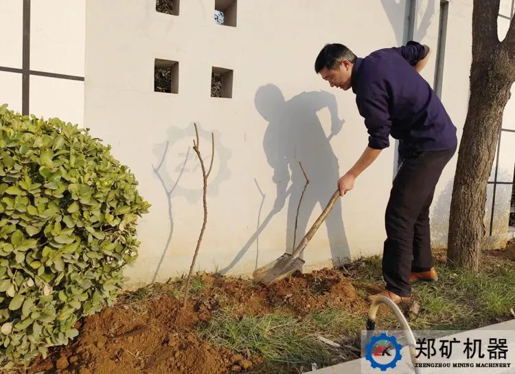 植樹4.jpg 植樹4.jpg